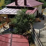 къща сливови