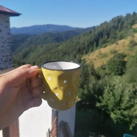 Дом отдыха къща сливови *